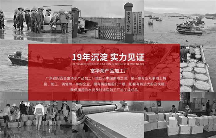 蝦皮工廠直供 高明區富華海產品加工廠開啟日用百貨銷售新篇章